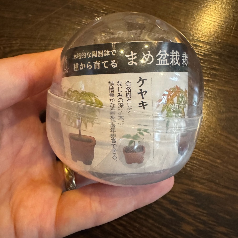 Miniature Bonsai Seed Kit